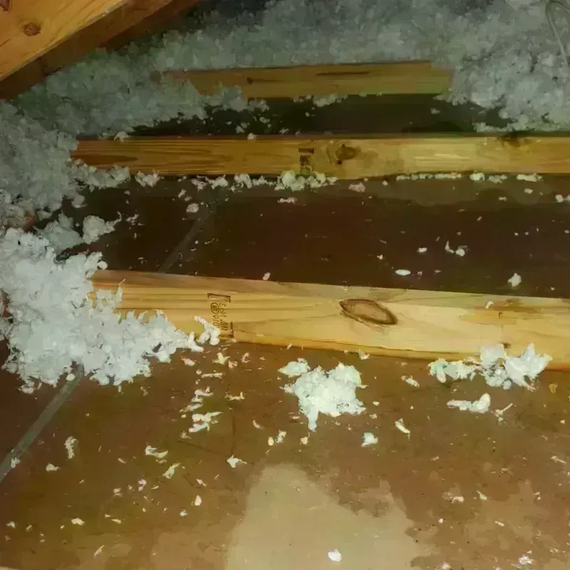 Attic Water Damage in Peachtree City, GA